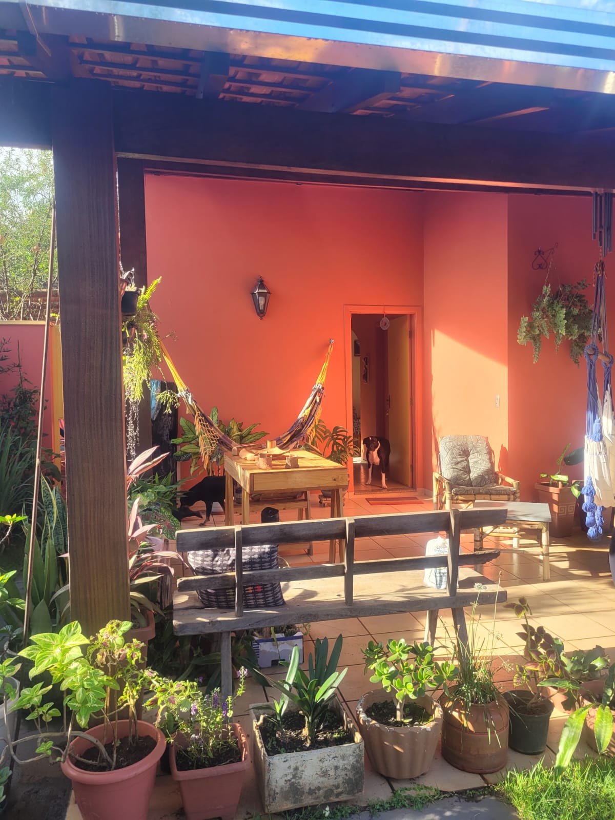 Luna Marquez Ferolla`s Home